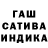 Конопля сатива Dennise Diva
