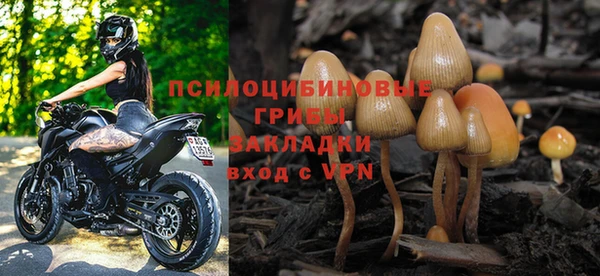 прущие крисы Алзамай